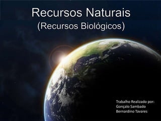 Recursos Naturais (Recursos Biológicos) Trabalho Realizado por:  Gonçalo Sambado Bernardino Tavares 