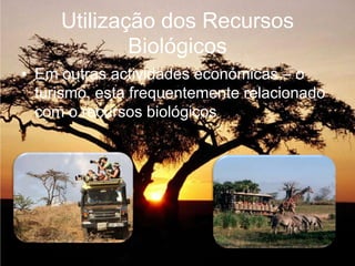 Utilização dos Recursos BiológicosEm outras actividades económicas – o turismo, esta frequentemente relacionado com o recursos biológicos.