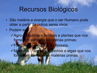 Recursos BiológicosSão matéria e energia que o ser Humano pode obter a partir de outros seres vivosPodem ser:Agro-Pecuários – animais e plantas que nos fornecem alimento e matérias primas;