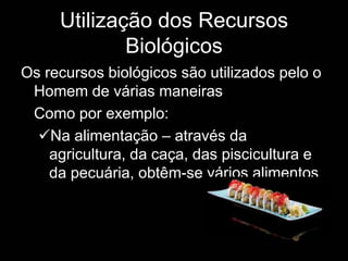 Florestais – produtos da floresta;