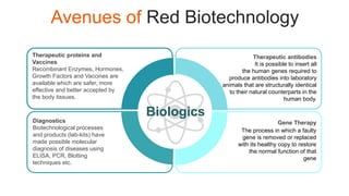 Biologics: Wonders of Biotechnology | PPTX