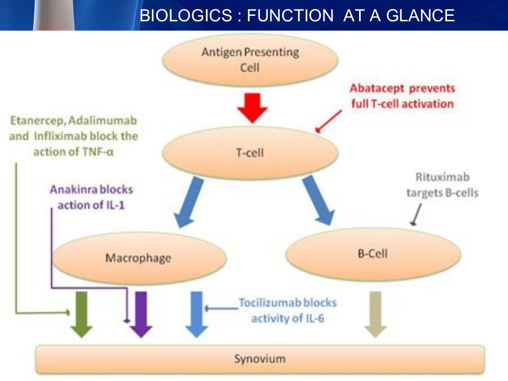 BIOLOGICS IN RHEUMATOID ARTHRITIS