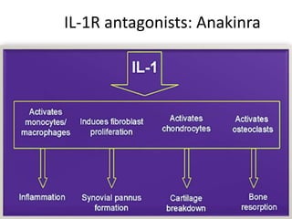 Anakinra Rash Biologics in rheumatological diseases | PPTX