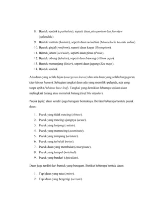 8. Bentuk sendok (spathulate), seperti daun pitosporium dan feverfew
(calandula)
9. Bentuk tombak (hastate), seperti daun wewehan (Monochoria hastata solms).
10. Bentuk ginjal (reniform), seperti daun kapas (Gossypium).
11. Bentuk jarum (acicular), seperti daun pinus (Pinus).
12. Bentuk tabung (tubular), seperti daun bawang (Allium cepa)
13. Bentuk memanjang (linier), seperti daun jagung (Zea mays).
14. Bentuk sendok
Ada daun yang selalu hijau (overgreen leaves) dan ada daun yang selalu berguguran
(deciduous leaves). Sebagian tangkai daun ada yang memiliki pelepah, ada yang
tanpa upih (Pulvinus base leaf). Tangkai yang demikian lebarnya seakan-akan
melingkari batang atau memeluk batang (leaf like stipules).
Pucuk (apic) daun sendiri juga beragam bentuknya. Berikut beberapa bentuk pucuk
daun:
1. Pucuk yang tidak runcing (obtuse).
2. Pucuk yang runcing ujungnya (acute).
3. Pucuk yang lonjong (cudate).
4. Pucuk yang meruncing (acuminate).
5. Pucuk yang rompang (aristate).
6. Pucuk yang terbelah (retus).
7. Pucuk daun yang membulat (emarginate).
8. Pucuk yang tumpul (notched).
9. Pucuk yang berduri (Apiculate).
Daun juga terdiri dari bentuk yang beragam. Berikut beberapa bentuk daun:
1. Tepi daun yang rata (entire).
2. Tepi daun yang bergerigi (serrate).

 