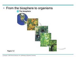 Biologi Dasar: A Hierarchy of Biological Organization | PPT
