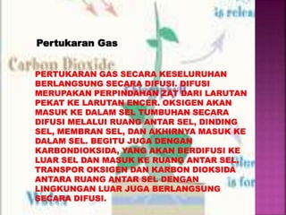 Pertukaran Gas Dalam Tumbuhan