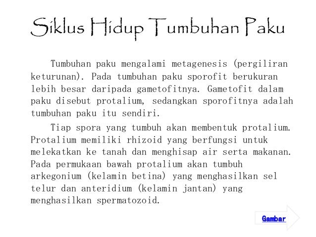 Biologi Dunia Tumbuhan Plantae