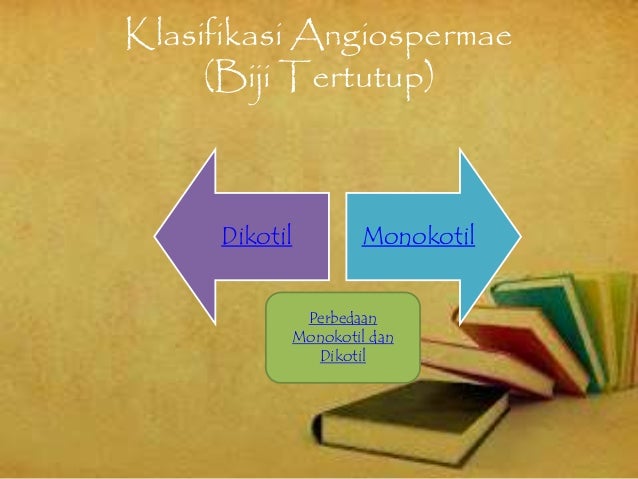 Biologi Dunia Tumbuhan Plantae