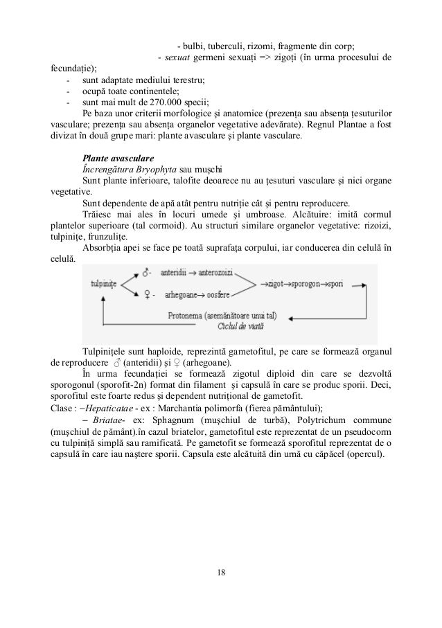 Biologie