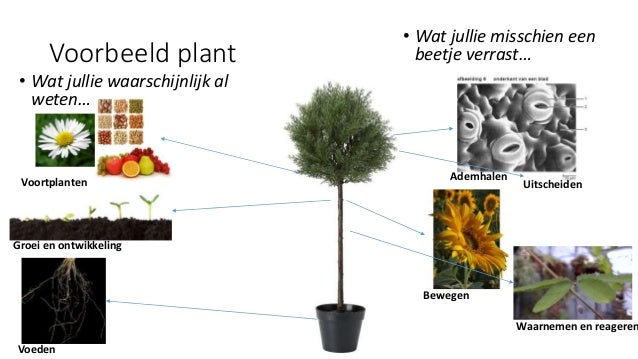 Biologie