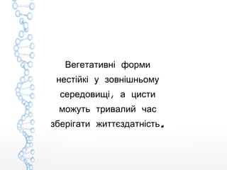 Вегетативні форми
нестійкі у зовнішньому
,середовищі а цисти
можуть тривалий час
.зберігати життєздатність
 