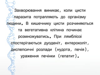 ,Захворювання виникає коли цисти
паразита потрапляють до організму
.людини В кишечнику цисти розчиняються
та вегетативна клітина починає
.розмножуватись При лямбліозі
, ,спостерігаються дуоденіт ентероколіт
( , ),диспепсичні розлади нудота печія
( ).ураження печінки гепатит
 