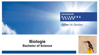 Biologie
Bachelor of Science
 