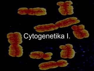 Cytogenetika I. 