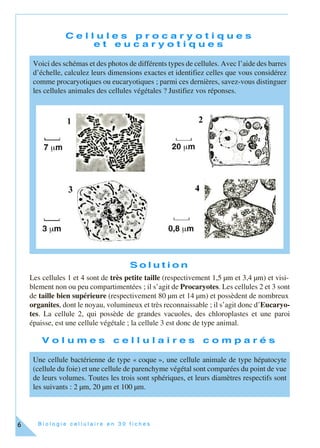 B i o l o g i e c e l l u l a i r e e n 3 0 f i c h e s6
C e l l u l e s p r o c a r y o t i q u e s
e t e u c a r y o t i q u e s
S o l u t i o n
Les cellules 1 et 4 sont de très petite taille (respectivement 1,5 µm et 3,4 µm) et visi-
blement non ou peu compartimentées ; il s’agit de Procaryotes. Les cellules 2 et 3 sont
de taille bien supérieure (respectivement 80 µm et 14 µm) et possèdent de nombreux
organites, dont le noyau, volumineux et très reconnaissable ; il s’agit donc d’Eucaryo-
tes. La cellule 2, qui possède de grandes vacuoles, des chloroplastes et une paroi
épaisse, est une cellule végétale ; la cellule 3 est donc de type animal.
V o l u m e s c e l l u l a i r e s c o m p a r é s
Voici des schémas et des photos de différents types de cellules. Avec l’aide des barres
d’échelle, calculez leurs dimensions exactes et identifiez celles que vous considérez
comme procaryotiques ou eucaryotiques ; parmi ces dernières, savez-vous distinguer
les cellules animales des cellules végétales ? Justifiez vos réponses.
Une cellule bactérienne de type « coque », une cellule animale de type hépatocyte
(cellule du foie) et une cellule de parenchyme végétal sont comparées du point de vue
de leurs volumes. Toutes les trois sont sphériques, et leurs diamètres respectifs sont
les suivants : 2 µm, 20 µm et 100 µm.
 