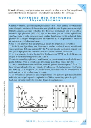©Dunod–Laphotocopienonautoriséeestundélit.
F I C H E 1 9 – L e s l y s o s o m e s ; l e s v a c u o l e s v é g é t a l e s
19
97
8. Vrai : si les enzymes lysosomales sont « mutées », elles peuvent être incapables de
remplir leur fonction de digestion : on parle alors de maladies de « surcharge ».
S y n t h è s e d e s h o r m o n e s
t h y r o ï d i e n n e s
Chez les Vertébrés, les hormones thyroïdiennes T3 et T4 (tri- et tétra-iodothyronine)
sont fabriquées au niveau de la thyroïde, une glande formée de petites structures épi-
théliales creuses appelées follicules. Ces follicules contiennent une glycoprotéine
nommée thyroglobuline (660 kDa), qui est fabriquée par les cellules épithéliales,
sécrétée, iodée et enfin provisoirement stockée dans leur cavité (la colloïde). Cette
protéine est à l’origine de la production des hormones T3 et T4 après la mise en œuvre
de mécanismes cellulaires originaux.
Ceux-ci sont analysés dans cet exercice, à travers les expériences suivantes :
1) des follicules thyroïdiens sont disséqués et incubés pendant 1 h dans un milieu de
survie contenant de l’iode radioactif (131I). À la suite de cette incubation, on peut véri-
fier que la thyroglobuline contenue dans la cavité est devenue radioactive.
2) on peut stimuler in vitro la sécrétion des hormones T3/T4 par les follicules, au
moyen d’une hormone hypophysaire, la TSH.
Une étude autoradiographique et biochimique est ensuite conduite sur les follicules à
partir du temps t0 où la sécrétion est provoquée (période de chasse de 6 h) :
3) cinq compartiments sont étudiés en autoradiographie électronique (cf. fiche 17) :
la cavité des follicules (1), les vésicules d’endocytose (2), les lysosomes (3), l’appa-
reil de Golgi (4) et le cytosol (5). Parallèlement, la radioactivité est mesurée dans le
milieu de survie (6) pendant toute la chasse.
4) les protéines de certains de ces compartiments sont purifiées par fractionnement
cellulaire, et analysées par électrophorèse en SDS et autoradiographie des gels.
La figure suivante montre les résultats de ces deux expériences :
 