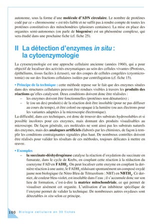 B i o l o g i e c e l l u l a i r e e n 3 0 f i c h e s100
autonome, sous la forme d’une molécule d’ADN circulaire. Le nombre de protéines
codé par ce « chromosome » est très faible et ne suffit pas à rendre compte de toutes les
protéines constitutives des mitochondries (plusieurs centaines). La mise en place des
organites semi-autonomes (on parle de biogenèse) est un phénomène complexe, qui
sera étudié dans une prochaine fiche (cf. fiche 25).
II La détection d’enzymes in situ :
la cytoenzymologie
La cytoenzymologie est une approche cellulaire ancienne (années 1960), qui a pour
objectif de localiser des activités enzymatiques au sein des cellules vivantes (Protistes,
épithéliums, tissus faciles à écraser), sur des coupes de cellules congelées (cryomicro-
tomie) ou sur des fractions cellulaires isolées par centrifugation (cf. fiche 15).
• Principe de la technique : cette méthode repose sur le fait que des enzymes situées
dans des structures cellulaires peuvent être rendues visibles à travers les produits des
réactions qu’elles catalysent. Deux conditions doivent donc être réalisées :
– les enzymes doivent être fonctionnelles (protéines non dénaturées) ;
– le (ou un des) produit(s) de la réaction doit être insoluble (pour ne pas diffuser
au cours du temps), et être coloré ou opaque à la lumière (ou aux électrons pour
les variantes adaptées à la microscopie électronique).
La difficulté, dans ces techniques, est donc de trouver des substrats hydrosolubles et si
possible incolores pour ces enzymes, mais donnant des produits visualisables au
microscope. De façon générale, ces molécules ne sont ainsi pas les substrats naturels
des enzymes, mais des analogues artificiels élaborés par les chimistes, de façon à rem-
plir les conditions contraignantes signalées plus haut. De nombreux contrôles doivent
être réalisés pour valider les résultats de ces méthodes, toujours délicates à mettre en
œuvre.
• Exemples
– la succinate-déshydrogénase catalyse la réaction d’oxydation du succinate en
fumarate, dans le cycle de Krebs, en couplant cette réaction à la réduction du
coenzyme FAD en FADH2
. On peut localiser cette enzyme en couplant la der-
nière réaction à une autre, le FADH2
réduisant spontanément un composé oxydé
jaune non biologique (le Nitro Bleu de Tétrazolium : NBT) en NBTH2
. Ce der-
nier, de couleur bleu-violet, est insoluble dans l’eau ; il s’accumule donc sur son
lieu de formation, c’est-à-dire la matrice mitochondriale, ce qui permet de
visualiser aisément cet organite. L’utilisation d’un inhibiteur spécifique de
l’enzyme permet de valider la technique. De nombreuses autres oxydases sont
détectables in situ selon ce principe.
 
