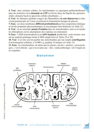 ©Dunod–Laphotocopienonautoriséeestundélit.
F I C H E 2 0 – L e s m i t o c h o n d r i e s : m o r p h o l o g i e e t o r g a n i s a t i o n
20
103
5. Vrai : dans certaines cellules, les mitochondries se regroupent préférentiellement
dans des territoires où la demande en ATP est élevée (base du flagelle des spermato-
zoïdes, domaine basal ou apical des cellules absorbantes…)
6. Vrai : les hématies (globules rouges) des Mammifères en sont dépourvues et elles
vivent pourtant près de 4 mois en réalisant la fermentation lactique du glucose.
7. Faux : ces deux membranes diffèrent profondément par leur composition chimique
et ont des propriétés physisochimiques et enzymatiques bien distinctes (cf. fiche 21).
8. Vrai : on ne rencontre jamais d’amidon dans les mitochondries, mais en revanche
les chloroplastes ou les amyloplastes des végétaux en contiennent.
9. Faux : l’ADN mitochondrial est un ADN standard, double brin ; seuls certains virus
ont un matériel génétique formé d’ADN simple-brin (cf. fiches 25 et 30).
10. Vrai : il est très aisé de purifier des mitochondries par une simple centrifugation
d’un homogénat cellulaire, à 10 000 × g, pendant 15 minutes (cf. fiche 15).
11. Faux : les mitochondries, de même que les plastes, ont des « ancêtres » procaryoti-
ques ; c’est la théorie – qui n’en est plus une – dite « endosymbiotique » de l’origine de
ces organites.
S o l u t i o n
 