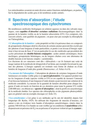 ©Dunod–Laphotocopienonautoriséeestundélit.
F I C H E 2 1 – L e s f o n c t i o n s d e s m i t o c h o n d r i e s
21
105
Les mitochondries assurent en outre diverses autres fonctions métaboliques, en particu-
lier la dégradation des acides gras et de nombreux acides aminés.
II Spectres d’absorption ; l’étude
spectroscopique des cytochromes
De nombreuses molécules biologiques en solution aqueuse ou dans des solvants orga-
niques, sont capables d’absorber certaines radiations électromagnétiques dans la
gamme de la lumière visible ou de la lumière ultraviolette (UV). Ces composés, très
souvent colorés, sont qualifiés de pigments ; on peut citer par exemple la chlorophylle
ou l’hémoglobine.
• L’absorption de la lumière : cette propriété est liée à la présence dans ces composés
de groupements chimiques dont les électrons de certains atomes peuvent être excités par
des photons d’une longueur d’onde particulière, et portés à un niveau d’énergie supé-
rieur à leur niveau de base. C’est en particulier le cas des molécules qui possèdent des
cycles présentant des double-liaisons conjuguées : acides aminés aromatiques, bases
nucléiques, groupements héminiques, ou de longues chaînes avec une alternance de
double-liaisons et de liaisons simples : caroténoïdes.
Les électrons de ces structures sont dits « délocalisés » car ils forment une sorte de
nuage (autour de la molécule de tétrapyrrole d’un hème, par exemple) favorisant la cap-
ture des photons. L’énergie capturée est restituée sous forme de chaleur ou d’une
lumière de longueur d’onde plus grande (fluorescence ; cf. fiches 4 et 8).
• La mesure de l’absorption : l’absorption de photons de certaines longueurs d’onde
lumineuses est rendue visible grâce à un spectrophotomètre. Cet appareil produit tou-
tes les longueurs d’onde (spectre visible et UV) et est capable de mesurer l’intensité
d’un faisceau lumineux d’une longueur d’onde donnée ayant traversé une solution de la
molécule considérée. La mesure de la quantité de lumière absorbée pour chaque lon-
gueur d’onde est tracée en fonction de ces dernières pour toute la gamme UV-visible
(240-800 nm) ; on obtient un « spectre d’absorption » dont le profil est caractéristique
de la molécule étudiée. Les spectres des chlorophylles et des pigments photosynthéti-
ques en général sont un exemple classique (cf. fiche 23).
• Les cytochromes : c’est grâce à ces méthodes qu’ils ont été identifiés depuis fort
longtemps (D. Keilin, 1925). En utilisant des fragments de muscles d’insectes, cet
auteur a mis en évidence trois bandes d’absorption caractéristiques, situées dans la
gamme 540-610 nm. Ces bandes ne sont visibles qu’en conditions d’anaérobiose (elles
disparaissent en présence de O2
) ou en présence d’un poison violent tel que le cyanure ;
 