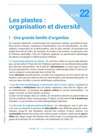 ©Dunod–Laphotocopienonautoriséeestundélit.
109F I C H E 2 2 – L e s p l a s t e s : o r g a n i s a t i o n e t d i v e r s i t é
FICHE
Les plastes :
organisation et diversité
I Une grande famille d’organites
Ces organites pigmentés, caractéristiques des organismes végétaux, possèdent de nom-
breux points communs, structuraux et biochimiques, avec les mitochondries ; les chlo-
roplastes, responsables de la photosynthèse, sont les plus courants. Ils présentent une
grande diversité de tailles, de structures, de formes et de couleurs, en particulier chez
les Protistes autotrophes. Chez les Végétaux supérieurs, la spécialisation métabolique
des plastes accompagne la différenciation cellulaire.
• L’organisation générale des plastes : ils sont bien visibles en microscopie photoni-
que, car leur taille (5-10 µm chez les Végétaux supérieurs) est sensiblement plus grande
que celles des mitochondries. Sur le plan de l’ultrastructure, ces deux types d’organi-
tes sont cependant très voisins, comme le montre le schéma proposé dans l’exercice sui-
vant (à comparer à celui présenté dans la fiche 20).
Leurs ribosomes sont très proches, en taille et en composition, de ceux décrits chez les
bactéries, alors que ceux observés dans les mitochondries sont nettement plus petits ; ils
sont tous deux sensibles à certains antibiotiques antibactériens.
• Leur diversité morphologique et structurale dans le règne végétal : en général, ils
sont ovoïdes ou lenticulaires chez les plantes supérieures, mais chez les Algues, uni-
ou multicellulaires, ils prennent des aspects curieux et souvent spectaculaires : en
cupule, en étoile, en ruban spiralé, en réseau…
Le plus souvent uniques dans ces cellules, ils sont parfois présents en grand nombre au
sein du cytoplasme. Dans certains groupes d’Algues, ils présentent 3 ou 4 membranes
limitantes, ce qui constitue un critère phylogénétique important.
• La diversité des pigments photosynthétiques : les chloroplastes sont le plus sou-
vent verts, en raison de la présence de chlorophylles, mais différents pigments surnu-
méraires, lorsqu’ils sont abondants, peuvent leur conférer d’autres couleurs. Les
caroténoïdes donnent aux plastes des couleurs jaunes ou brunes, tandis que les phyco-
bilines des Algues rouges leur donnent une couleur rouge. Les conséquences physiolo-
giques de la présence de ces molécules sont importantes (cf. fiche 23).
22
 