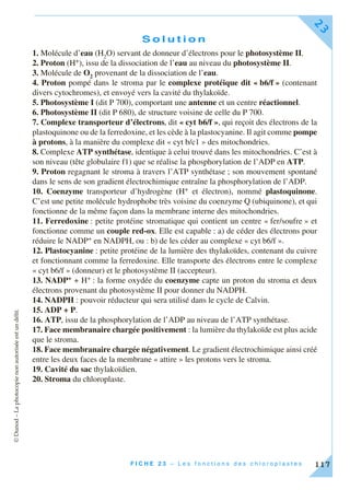 ©Dunod–Laphotocopienonautoriséeestundélit.
F I C H E 2 3 – L e s f o n c t i o n s d e s c h l o r o p l a s t e s
23
117
S o l u t i o n
1. Molécule d’eau (H2
O) servant de donneur d’électrons pour le photosystème II.
2. Proton (H+), issu de la dissociation de l’eau au niveau du photosystème II.
3. Molécule de O2
provenant de la dissociation de l’eau.
4. Proton pompé dans le stroma par le complexe protéique dit « b6/f » (contenant
divers cytochromes), et envoyé vers la cavité du thylakoïde.
5. Photosystème I (dit P 700), comportant une antenne et un centre réactionnel.
6. Photosystème II (dit P 680), de structure voisine de celle du P 700.
7. Complexe transporteur d’électrons, dit « cyt b6/f », qui reçoit des électrons de la
plastoquinone ou de la ferredoxine, et les cède à la plastocyanine. Il agit comme pompe
à protons, à la manière du complexe dit « cyt b/c1 » des mitochondries.
8. Complexe ATP synthétase, identique à celui trouvé dans les mitochondries. C’est à
son niveau (tête globulaire f1) que se réalise la phosphorylation de l’ADP en ATP.
9. Proton regagnant le stroma à travers l’ATP synthétase ; son mouvement spontané
dans le sens de son gradient électrochimique entraîne la phosphorylation de l’ADP.
10. Coenzyme transporteur d’hydrogène (H+ et électron), nommé plastoquinone.
C’est une petite molécule hydrophobe très voisine du coenzyme Q (ubiquinone), et qui
fonctionne de la même façon dans la membrane interne des mitochondries.
11. Ferredoxine : petite protéine stromatique qui contient un centre « fer/soufre » et
fonctionne comme un couple red-ox. Elle est capable : a) de céder des électrons pour
réduire le NADP+ en NADPH, ou : b) de les céder au complexe « cyt b6/f ».
12. Plastocyanine : petite protéine de la lumière des thylakoïdes, contenant du cuivre
et fonctionnant comme la ferredoxine. Elle transporte des électrons entre le complexe
« cyt b6/f » (donneur) et le photosystème II (accepteur).
13. NADP+ + H+ : la forme oxydée du coenzyme capte un proton du stroma et deux
électrons provenant du photosystème II pour donner du NADPH.
14. NADPH : pouvoir réducteur qui sera utilisé dans le cycle de Calvin.
15. ADP + P.
16. ATP, issu de la phosphorylation de l’ADP au niveau de l’ATP synthétase.
17. Face membranaire chargée positivement : la lumière du thylakoïde est plus acide
que le stroma.
18. Face membranaire chargée négativement. Le gradient électrochimique ainsi créé
entre les deux faces de la membrane « attire » les protons vers le stroma.
19. Cavité du sac thylakoïdien.
20. Stroma du chloroplaste.
 