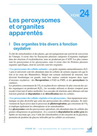 ©Dunod–Laphotocopienonautoriséeestundélit.
119F I C H E 2 4 – L e s p e r o x y s o m e s e t o r g a n i t e s a p p a r e n t é s
FICHE
Les peroxysomes
et organites
apparentés
I Des organites très divers à fonction
oxydative
À côté des mitochondries et des plastes, qui ont typiquement une activité de conversion
de l’énergie, il existe chez les Eucaryotes plusieurs catégories d’organites impliqués
dans des réactions d’oxydoréduction, mais ne produisant pas d’ATP. Les plus connus
sont les peroxysomes et les glyoxysomes, mais il existe chez les Protistes plusieurs
organites spécifiques, dont les activités sont très originales.
• Les peroxysomes des cellules animales : ces petits organites unimembranaires (0,5-
1 µm) et universels sont très abondants dans les cellules de certains organes tels que le
foie et les reins des Mammifères. Malgré une certaine uniformité de structure, leur
diversité biochimique est grande, mais leur matrice contient toujours deux types
d’enzymes oxydatives : des flavoprotéines à FAD ou FMN, et des peroxydases (la
catalase).
Les premières consomment de l’O2
et oxydent divers substrats (le plus souvent des aci-
des organiques) en produisant H2
O2
; les secondes utilisent ce dernier composé pour
oxyder à leur tour d’autres molécules. Les cascades de réactions ainsi obtenues ont une
fonction générale de dégradation et de détoxification dans les cellules.
• Les peroxysomes des cellules végétales et les glyoxysomes : leur équipement enzy-
matique est plus diversifié que celui des peroxysomes des cellules animales. Ils inter-
viennent de façon active dans le processus de photorespiration, qui consomme de l’O2
et implique également les chloroplastes et les mitochondries.
Les glyoxysomes sont des peroxysomes spécialisés, très abondants dans les cellules des
graines oléagineuses en germination ; ils y assurent la dégradation les acides gras des
lipides en succinate qui, avec l’aide des mitochondries et des enzymes de la glycolyse,
permettra de produire du glucose utilisable par les cellules en croissance.
24
 