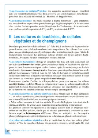 B i o l o g i e c e l l u l a i r e e n 3 0 f i c h e s120
• Les glycosomes de certains Protistes : ces organites unimembranaires possèdent
dans leur lumière toutes les enzymes de la glycolyse ; ils sont typiques des parasites res-
ponsables de la maladie du sommeil de l’Homme, les Trypanosomes.
• Les hydrogénosomes : ces petits organites à double membrane (1 µm) apparentés
aux mitochondries ne possèdent généralement pas de génome propre. On les rencontre
chez certains Protistes parasites anaérobies tels que les Trichomonas ; ils sont caracté-
risés par leur aptitude à produire de l’H2
, du CO2
, mais aussi de l’ATP.
II Les cultures de bactéries, de cellules
végétales et de champignons
De même que pour les cellules animales (cf. fiche 14), il est important de pouvoir dis-
poser de cultures de cellules de nombreux autres organismes. Ces cultures étant homo-
gènes au plan génétique et plan physiologique, elles sont indispensables pour l’étude de
tout problème biologique. Les premières cultures clonales ont été des cultures bacté-
riennes (XIXe siècle), car elles sont les plus faciles à réaliser.
• Les cultures bactériennes : lorsqu’un inoculum très dilué est étalé stérilement sur
une boîte de milieu nutritif solide (gélosé, en boîte de Petri), les bactéries sont très éloi-
gnées les unes des autres au départ, et elles donnent, après de nombreux cycles de divi-
sion binaire, des colonies homogènes (ou des clones, pour simplifier, issus d’une seule
cellule) bien séparées, visibles à l’œil nu (cf. fiche 1). Lorsque cet inoculum contient
initialement différentes espèces bactériennes en mélange, cette méthode permet d’isoler
des colonies de « souches » pures (on parle de sous-clonage).
Il est ensuite possible d’utiliser de telles populations pures pour inoculer des milieux
nutritifs liquides (en Erlen-Meyer, ou en fermenteurs), dont les volumes parfois élevés
permettent d’obtenir des quantités de cellules identiques très importantes ; les cellules
en suspension sont séparées du milieu par une simple centrifugation.
• Les milieux nutritifs de culture bactériens : ils se répartissent en deux catégories
- 1) les milieux synthétiques, dont la composition, souvent simple, est parfaitement con-
nue et contrôlée (sels minéraux, sucres et quelques vitamines),
- 2) les milieux naturels, très riches, dérivés d’extraits biologiques bruts (extraits de
viande, de plantes, de levure), dont la composition est complexe et mal connue.
Les premiers sont souvent spécifiques d’une espèce donnée, dont les exigences nutri-
tionnelles sont bien précises, tandis que les seconds permettent la croissance de nom-
breuses espèces hétérotrophes différentes. Pour se multiplier, les Procaryotes
photosynthétiques nécessitent évidemment de la lumière, en plus des sels minéraux.
• La culture des cellules végétales : elles se multiplient in vitro, sur milieu gélosé
nutritif, à l’état de massifs cellulaires plus ou moins compacts, appelés cals. On peut
 
