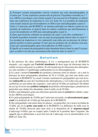 B i o l o g i e c e l l u l a i r e e n 3 0 f i c h e s128
S o l u t i o n
1. En présence des deux antibiotiques, il n’y a pratiquement pas de RUBISCO
marquée ; ceci suggère que l’activité simultanée de deux types de ribosomes dans la
cellule est nécessaire pour sa synthèse. Il a été montré que les ribosomes des chloroplas-
tes sont sensibles à l’antibiotique antibactérien (ici le chloramphénicol).
2. Le canal 1 montre l’ensemble des protéines contenues dans les plastes ; on y note la
présence de deux polypeptides abondants de 55 et 14 kDa, qui sont sans doute ceux
constituant la RUBISCO. Le canal 2 montre seulement les polypeptides qui sont deve-
nus radioactifs au cours de l’incubation des chloroplastres, c’est-à-dire ceux qui ont été
synthétisés au sein même des organites ; seul celui de 55 kDa est radioactif. On déduit
de ceci qu’il existe une synthèse endogène de protéines chloroplastiques, produisant en
particulier une chaîne très abondante, dont la taille est de 55 kDa.
3. Elles sont fabriquées grâce aux ribosomes présents dans le cytosol des cellules, à par-
tir des ARNm cytosoliques.
4. Ce petit polypeptide de 18 kDa que l’anticorps reconnaît, est nécessairement appa-
renté à la molécule de 14 kDa qui fait partie de la RUBISCO.
5. Des polypeptides sont entrés dans les plastes ; en particulier, on y trouve la chaîne de
14 kDa, qui est la petite sous-unité de la RUBISCO. La différence de taille avec la
chaîne de 18 kDa observée plus haut tient à la disparition de la séquence-signal
d’adressage (4 kDa), qui est coupée après l’entrée de la protéine dans l’organite. On
rappelle que ce phénomène a aussi lieu lors de l’adressage vers le mitochondries et le
RER (cf. fiche 16).
2. Pourquoi certains polypeptides sont-ils visualisés par cette autoradiographie, et
d’autres pas ? Cette expérience permet-elle de préciser l’hypothèse formulée en 1 ?
Les ARNm cytosoliques sont extraits à partir d’un nouveau lot d’Euglènes et utilisés
dans une expérience de traduction in vitro (cf. fiche 16). Les produits de traduction
sont ensuite analysés par électrophorèse en SDS et par autoradiographie (canal 3).
Grâce à l’anticorps anti-RUBISCO, un immuno-précipité est obtenu à partir de ces
produits de traduction, et analysé dans les mêmes conditions que précédemment, à
savoir électrophorèse en SDS puis autoradiographie (canal 4).
3. Dans quel territoire cellulaire les protéines du canal 3 sont-elles synthétisées ?
4. Quelle hypothèse formulez-vous au sujet du polypeptide détecté dans le canal 4 ?
Les produits de traduction in vitro radioactifs sont enfin mis en présence de chloro-
plastes purifiés et intacts pendant 15 min, puis les protéines de ces derniers sont ana-
lysées par autoradiographie après électrophorèse en SDS (canal 5).
5. Quelle est la nature du polypeptide le plus abondant observé dans le canal 5 et pour-
quoi sa taille n’est-elle pas exactement celle observée dans le canal 4 ?
 