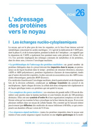 ©Dunod–Laphotocopienonautoriséeestundélit.
129F I C H E 2 6 – L ’ a d r e s s a g e d e s p r o t é i n e s v e r s l e n o y a u
FICHE
L’adressage
des protéines
vers le noyau
I Les échanges nucléo-cytoplasmiques
Le noyau, qui est le plus gros de tous les organites, est le lieu d’une intense activité
métabolique concernant les acides nucléiques : il s’agit de la réplication de l’ADN pen-
dant la phase S, et de la transcription, pendant la durée de l’interphase ; on rappelle que
la réparation de l’ADN a également lieu pendant toute cette période (cf. fiches 10 et
11). Ces activités impliquent des échanges constants de métabolites et de protéines,
dans les deux sens, à travers l’enveloppe nucléaire.
• La problématique de l’adressage des protéines nucléaires : un grand nombre de
protéines fabriquées dans le cytosol doivent être importées dans le noyau, en perma-
nence ou de façon localisée dans le temps : protéines de structure (histones), enzymes
(ADN et ARN polymérases), protéines régulatrices (facteurs de transcription), tandis
que d’autres doivent être exportées, le plus souvent en association avec des ARN (sous-
unités ribosomiques, particules RNP diverses).
Ces molécules franchissent l’enveloppe nucléaire, dont la particularité est de disparaître
lors de la division cellulaire, conduisant au mélange transitoire du cytosol et du
nucléoplasme. Après chaque division, la cellule doit donc réimporter très rapidement et
de façon spécifique toutes ces protéines qui ont quitté le noyau.
• Les complexes des pores nucléaires : ces structures de grande taille (120 nm de dia-
mètre) sont ancrées dans la lamina nucléaire et sont formées de près de 100 protéines
distinctes. Elles ont une symétrie d’ordre 8 et leur organisation complexe est très dif-
férente selon qu’on examine la face cytosolique ou la face interne du noyau. Il en existe
plusieurs milliers dans un noyau de cellule banale. On a montré qu’ils laissent rentrer
passivement (par diffusion) des molécules de masse inférieure à 60 kDa, ce qui corres-
pond à un diamètre efficace voisin de 9-10 nm.
• Les séquences-signal nucléaires : toutes les protéines importées dans le noyau sont
munies d’une courte séquence-signal, localisée en une région quelconque de la molé-
26
 