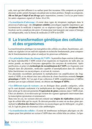 B i o l o g i e c e l l u l a i r e e n 3 0 f i c h e s130
cule, mais qui doit affleurer à sa surface pour être reconnue. Elle comporte en général
plusieurs acides aminés basiques encadrant une ou deux prolines. Simple ou composite,
elle ne fait pas l’objet d’un clivage après importation, comme c’est le cas pour toutes
les autres séquences-signal (cf. fiches 16 et 24).
• La machinerie d’adressage : il existe deux types de récepteurs impliqués dans le
processus d’adressage : des récepteurs solubles cytosoliques (appelés importines), qui
reconnaissent la molécule à importer via sa séquence-signal, et des récepteurs fixes
localisés sur les complexes des pores. Comme pour tout transport, une source d’énergie
est indispensable, sous la forme de molécules d’ATP et de GTP.
II La transformation génétique des cellules
et des organismes
La transformation génétique (ou transgénèse) des cellules en culture, bactériennes, ani-
males ou végétales est un outil très répandu en recherche fondamentale, pour compren-
dre le fonctionnement des gènes et analyser les processus cellulaires.
• Les principales étapes du clonage de l’ADN : la première étape consiste à découper
de façon reproductible l’ADN extrait d’un organisme en fragments de taille plus ou
moins grande, au moyen d’enzymes appropriées (les enzymes de restriction). Après
purification, et grâce à la technologie de recombinaison de l’ADN, ces fragments sont
intégrés dans des plasmides, molécules capables d’autoréplication dans des cellules-
hôtes bactériennes ou eucaryotiques, et servant de vecteurs.
Ces plasmides recombinés permettent la multiplication (ou amplification) des frag-
ments d’ADN, et on obtient ainsi une collection de clones bactériens nommée banque
génomique d’ADN. Si l’on part d’une collection d’ADN complémentaires d’ARNm
produits par un type cellulaire donné, on obtient une banque d’ADNc.
• Les différents types de vecteurs : on en distingue deux grandes catégories, selon
qu’ils sont destinés seulement à la multiplication des fragments d’ADN intégrés, ou
bien selon qu’ils doivent permettre l’expression de gènes contenus dans l’ADN cloné.
Chez ces derniers, il est nécessaire qu’existent des signaux appropriés intervenant dans
la transcription (promoteur et terminateur).
Dans tous les cas, les vecteurs doivent contenir une origine de réplication adaptée au
type de cellule-hôte qui les reçoit. Ils doivent posséder en outre un ou deux gènes per-
mettant la sélection des clones bactériens ou eucaryotiques qui les hébergent ; en géné-
ral, il s’agit de gènes de résistance à des antibiotiques.
• La transfection des cellules : il existe de nombreuses techniques physiques ou chi-
miques pour faire pénétrer un vecteur d’ADN dans une cellule-hôte en culture : la lipo-
 
