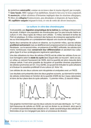 B i o l o g i e c e l l u l a i r e e n 3 0 f i c h e s138
6. épithélium unistratifié, comme on en trouve dans le tractus digestif, par exemple,
7. lame basale, MEC typique d’un épithélium, faisant le lien avec le tissu conjonctif,
8. mastocyte, cellule sécrétrice d’histamine impliquée dans les réactions allergiques,
9. fibres de collagène I entrecroisées, peu abondantes et disposées de façon lâche,
10. capillaire sanguin irriguant le tissu, et voie de sortie des divers leucocytes.
La culture in vitro des chondrocytes
Il est possible, par digestion enzymatique de la matrice du cartilage embryonnaire
de poulet, d’obtenir une population de chondrocytes que l’on peut ensuite mettre en
culture in vitro. Deux types de milieux sont utilisés : 1) milieu standard et boîtes de
Petri en plastique, 2) milieu contenant des facteurs de croissance appropriés et boî-
tes au fond desquelles on a préalablement déposé une couche de collagène.
Après deux semaines de culture on observe, sur le premier milieu, que les cellules
prolifèrent activement mais se dédifférencient progressivement en cellules de type
fibroblaste ; sur le second milieu, en présence d’une MEC artificielle, les cellules sont
moins nombreuses mais conservent leur différenciation et sécrètent leur colla-
gène (type II) et leur protéoglycane (agrécane) spécifiques.
Une des utilisations du trieur de cellules (FACS) est de cribler les cellules d’une cul-
ture homogène selon le stade du cycle dans lequel elles se trouvent ; dans ce cas,
on utilise un colorant fluorescent de l’ADN, dont la quantité est alors mesurée dans
chaque cellule. Il est ainsi possible de récupérer et quantifier diverses populations
de cellules synchrones (en G1, S ou G2/M), ce qui permet d’étudier le cycle cellulaire
et d’évaluer le caractère prolifératif d’une culture (cf. fiche 14).
Les cellules de ces deux cultures sont récupérées et analysées avec un FACS.
Les résultats sont présentés dans les deux graphes suivants, qui donnent le nombre
de cellules (ordonnées) en fonction de la quantité d’ADN de leur noyau (abscisses)
et donc de leur place dans le cycle cellulaire : 1) premier milieu, 2) second milieu.
Ces graphes montrent bien que les deux cultures ne sont pas identiques : la 1re con-
tient beaucoup de cellules en G2/M, qui vont se diviser ou se divisent, alors que la
2e contient essentiellement des cellules en G1, stade caractéristique des cellules dif-
férenciées et qui ne s’engagent pas dans un processus de division.
 