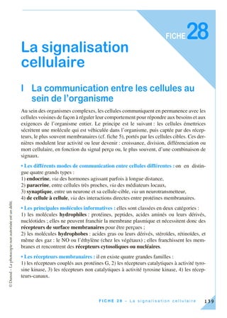 ©Dunod–Laphotocopienonautoriséeestundélit.
139F I C H E 2 8 – L a s i g n a l i s a t i o n c e l l u l a i r e
FICHE
La signalisation
cellulaire
I La communication entre les cellules au
sein de l’organisme
Au sein des organismes complexes, les cellules communiquent en permanence avec les
cellules voisines de façon à réguler leur comportement pour répondre aux besoins et aux
exigences de l’organisme entier. Le principe est le suivant : les cellules émettrices
sécrètent une molécule qui est véhiculée dans l’organisme, puis captée par des récep-
teurs, le plus souvent membranaires (cf. fiche 5), portés par les cellules cibles. Ces der-
nières modulent leur activité ou leur devenir : croissance, division, différenciation ou
mort cellulaire, en fonction du signal perçu ou, le plus souvent, d’une combinaison de
signaux.
• Les différents modes de communication entre cellules différentes : on en distin-
gue quatre grands types :
1) endocrine, via des hormones agissant parfois à longue distance,
2) paracrine, entre cellules très proches, via des médiateurs locaux,
3) synaptique, entre un neurone et sa cellule-cible, via un neurotransmetteur,
4) de cellule à cellule, via des interactions directes entre protéines membranaires.
• Les principales molécules informatives : elles sont classées en deux catégories :
1) les molécules hydrophiles : protéines, peptides, acides aminés ou leurs dérivés,
nucléotides ; elles ne peuvent franchir la membrane plasmique et nécessitent donc des
récepteurs de surface membranaires pour être perçues ;
2) les molécules hydrophobes : acides gras ou leurs dérivés, stéroïdes, rétinoïdes, et
même des gaz : le NO ou l’éthylène (chez les végétaux) ; elles franchissent les mem-
branes et rencontrent des récepteurs cytosoliques ou nucléaires.
• Les récepteurs membranaires : il en existe quatre grandes familles :
1) les récepteurs couplés aux protéines G, 2) les récepteurs catalytiques à activité tyro-
sine kinase, 3) les récepteurs non catalytiques à activité tyrosine kinase, 4) les récep-
teurs-canaux.
28
 