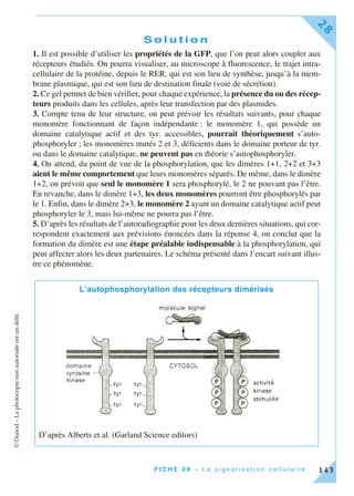 ©Dunod–Laphotocopienonautoriséeestundélit.
F I C H E 2 8 – L a s i g n a l i s a t i o n c e l l u l a i r e
28
143
S o l u t i o n
1. Il est possible d’utiliser les propriétés de la GFP, que l’on peut alors coupler aux
récepteurs étudiés. On pourra visualiser, au microscope à fluorescence, le trajet intra-
cellulaire de la protéine, depuis le RER, qui est son lieu de synthèse, jusqu’à la mem-
brane plasmique, qui est son lieu de destination finale (voie de sécrétion).
2. Ce gel permet de bien vérifier, pour chaque expérience, la présence du ou des récep-
teurs produits dans les cellules, après leur transfection par des plasmides.
3. Compte tenu de leur structure, on peut prévoir les résultats suivants, pour chaque
monomère fonctionnant de façon indépendante : le monomère 1, qui possède un
domaine catalytique actif et des tyr. accessibles, pourrait théoriquement s’auto-
phosphoryler ; les monomères mutés 2 et 3, déficients dans le domaine porteur de tyr.
ou dans le domaine catalytique, ne peuvent pas en théorie s’autophosphoryler.
4. On attend, du point de vue de la phosphorylation, que les dimères 1+1, 2+2 et 3+3
aient le même comportement que leurs monomères séparés. De même, dans le dimère
1+2, on prévoit que seul le monomère 1 sera phosphorylé, le 2 ne pouvant pas l’être.
En revanche, dans le dimère 1+3, les deux monomères pourront être phosphorylés par
le 1. Enfin, dans le dimère 2+3, le monomère 2 ayant un domaine catalytique actif peut
phosphoryler le 3, mais lui-même ne pourra pas l’être.
5. D’après les résultats de l’autoradiographie pour les deux dernières situations, qui cor-
respondent exactement aux prévisions énoncées dans la réponse 4, on conclut que la
formation du dimère est une étape préalable indispensable à la phosphorylation, qui
peut affecter alors les deux partenaires. Le schéma présenté dans l’encart suivant illus-
tre ce phénomène.
L’autophosphorylation des récepteurs dimérisés
D’après Alberts et al. (Garland Science editors)
 