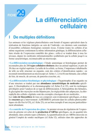 B i o l o g i e c e l l u l a i r e e n 3 0 f i c h e s
FICHE
144
29
La différenciation
cellulaire
I De multiples définitions
Les animaux et les végétaux pluricellulaires sont formés d’organes spécialisés dans la
réalisation de fonctions intégrées au sein de l’individu ; ces derniers sont constitués
d’ensembles cellulaires homogènes nommés tissus. Comme toutes les cellules d’un
même organisme contiennent la même information génétique, la différenciation cellu-
laire résulte de l’expression contrôlée des gènes ; celle-ci se traduit donc à tous les
niveaux, depuis les molécules informationnelles synthétisées par la cellule jusqu’à sa
forme caractéristique, reconnaissable au microscope.
• La différenciation morphologique : l’étude anatomique et histologique permet de
reconnaître plus de 200 types cellulaires distincts chez un animal supérieur, et près de
30 chez un végétal supérieur. La taille de la cellule, sa forme, l’importance inhabituelle
de telle ou telle structure ou organite, sont des critères d’identification rapides : on
reconnaît immédiatement au microscope (cf. fiches 1, 2, 6 et 8) une hématie, une cellule
de foie, de muscle, de cerveau, de pancréas exocrine, etc.
• La différenciation biochimique et physiologique : l’hypertrophie d’un organite ou
d’une structure se traduit par une abondance caractéristique de molécules spécifi-
ques. L’électrophorèse et la chromatographie (cf. fiches 9 et 22), sont les techniques
privilégiées pour l’analyse de ce type de différenciation. L’hémoglobine des hématies,
le glycogène des myocytes ou des hépatocytes, les triglycérides des adipocytes, la chlo-
rophylle des cellules végétales sont des exemples classiques de ces molécules.
Les voies de biosynthèse de tous ces composés sont évidemment spécifiques, et donc
les enzymes qui y interviennent ; la RUBISCO, présente dans les cellules photosynthé-
tiques où elle fixe le CO2
(cf. fiche 23), est un bon exemple d’une enzyme particulière-
ment abondante.
• Le contrôle de l’expression des gènes : le premier niveau de régulation de l’expres-
sion du génome est celui de la production d’ARNm spécifiques, ou en quantité très
abondante, dans certains types cellulaires. La quantification de ces ARNm nécessite en
général l’emploi de sondes nucléiques (cf. fiche 12), utilisées dans des approches de
 