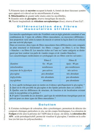 ©Dunod–Laphotocopienonautoriséeestundélit.
F I C H E 2 9 – L a d i f f é r e n c i a t i o n c e l l u l a i r e
29
147
7. Filaments épais de myosine occupant la bande A, formés de deux faisceaux symétri-
ques opposés et à cheval sur les microfilaments d’actine,
8. Mitochondries de grande taille situées entre les myofibrilles,
9. Granules noirs de glycogène, réserve énergétique du muscle,
10. Travée longitudinale de réticulum sarcoplasmique (lisse), réserve d’ions Ca2+.
D i f f é r e n c i a t i o n d e s f i b r e s
m u s c u l a i r e s s t r i é e s
S o l u t i o n
1. Certaines techniques de coloration, dites cytochimiques, permettent de détecter des
composés chimiques particuliers in situ, sur des coupes histologiques. La coloration de
Feulgen révèle ainsi la présence de l’ADN dans le noyau ; de même, la coloration dite
APS : acide periodique/schiff, permet de visualiser le glycogène, l’amidon ou la cellu-
lose (en fait tous les polysaccharides).
Les muscles squelettiques striés des Vertébrés sont en règle générale constitués d’une
combinaison de 3 types de cellules (fibres musculaires, ou myocytes) différentes ;
leur proportion varie selon la nature du muscle et surtout la façon dont il est sollicité
par une activité physique.
Dans cet exercice, deux types de fibres musculaires bien différenciées sont comparés
au plan structural et fonctionnel : les fibres « rouges » ou fibres I, et les fibres
« blanches » ou fibres II. Les muscles riches en l’une ou l’autre catégorie se distin-
guent par leur couleur (on parle de viandes rouges et de viandes blanches).
Les caractéristiques moléculaires et cytologiques de ces fibres sont les suivantes :
1. Avec quelle technique peut-on mettre en évidence spécifiquement le glycogène ?
2. Quel est le rôle possible du glycogène et des lipides présents dans ces cellules ?
3. Quelles sont les différences de structure, de fonction et de localisation existant
entre la myoglobine et la globine ?
4. D’après l’ensemble de ces données, quel type de métabolisme énergétique peut-on
prévoir pour ces deux types de fibres musculaires ?
Fibres I Fibres II
diamètre fin : 40 µm épais : 80 µm
mitochondries nombreuses peu nombreuses
enzymes de la glycolyse peu actives très actives
glycogène peu abondant très abondant
triglycérides très abondants peu abondants
myoglobine abondante peu abondante
 