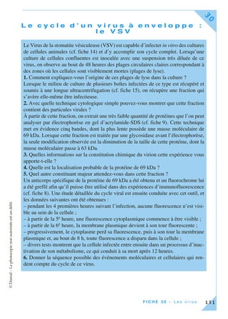 ©Dunod–Laphotocopienonautoriséeestundélit.
F I C H E 3 0 – L e s v i r u s
30
151
L e c y c l e d ’ u n v i r u s à e n v e l o p p e :
l e V S V
Le Virus de la stomatite vésiculeuse (VSV) est capable d’infecter in vitro des cultures
de cellules animales (cf. fiche 14) et d’y accomplir son cycle complet. Lorsqu’une
culture de cellules confluentes est inoculée avec une suspension très diluée de ce
virus, on observe au bout de 48 heures des plages circulaires claires correspondant à
des zones où les cellules sont visiblement mortes (plages de lyse).
1. Comment expliquez-vous l’origine de ces plages de lyse dans la culture ?
Lorsque le milieu de culture de plusieurs boîtes infectées de ce type est récupéré et
soumis à une longue ultracentrifugation (cf. fiche 15), on récupère une fraction qui
s’avère elle-même être infectieuse.
2. Avec quelle technique cytologique simple pouvez-vous montrer que cette fraction
contient des particules virales ?
À partir de cette fraction, on extrait une très faible quantité de protéines que l’on peut
analyser par électrophorèse en gel d’acrylamide-SDS (cf. fiche 9). Cette technique
met en évidence cinq bandes, dont la plus lente possède une masse moléculaire de
69 kDa. Lorsque cette fraction est traitée par une glycosidase avant l’électrophorèse,
la seule modification observée est la diminution de la taille de cette protéine, dont la
masse moléculaire passe à 63 kDa.
3. Quelles informations sur la constitution chimique du virion cette expérience vous
apporte-t-elle ?
4. Quelle est la localisation probable de la protéine de 69 kDa ?
5. Quel autre constituant majeur attendez-vous dans cette fraction ?
Un anticorps spécifique de la protéine de 69 kDa a été obtenu et un fluorochrome lui
a été greffé afin qu’il puisse être utilisé dans des expériences d’immunofluorescence
(cf. fiche 8). Une étude détaillée du cycle viral est ensuite conduite avec cet outil, et
les données suivantes ont été obtenues :
– pendant les 4 premières heures suivant l’infection, aucune fluorescence n’est visi-
ble au sein de la cellule ;
– à partir de la 5e heure, une fluorescence cytoplasmique commence à être visible ;
– à partir de la 6e heure, la membrane plasmique devient à son tour fluorescente ;
– progressivement, le cytoplasme perd sa fluorescence, puis à son tour la membrane
plasmique et, au bout de 8 h, toute fluorescence a disparu dans la cellule ;
– divers tests montrent que la cellule infectée entre ensuite dans un processus d’inac-
tivation de son métabolisme, ce qui conduit à sa mort après 12 heures.
6. Donner la séquence possible des événements moléculaires et cellulaires qui ren-
dent compte du cycle de ce virus.
 