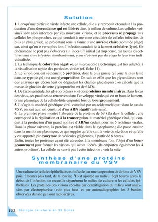 B i o l o g i e c e l l u l a i r e e n 3 0 f i c h e s152
S o l u t i o n
1. Lorsqu’une particule virale infecte une cellule, elle s’y reproduit et conduit à la pro-
duction d’une descendance qui est libérée dans le milieu de culture. Les cellules voi-
sines sont alors infectées par ces nouveaux virions, et le processus se propage aux
cellules les plus proches, ce qui conduit à une zone circulaire de cellules infectées de
plus en plus grande, se présentant sous la forme d’une auréole claire (nommée plage)
car, ainsi qu’on le verra plus loin, l’infection conduit ici à la mort cellulaire (lyse). Ce
phénomène ne peut pas s’observer si l’inoculum initial est trop dense, car toutes les cel-
lules sont alors infectées simultanément, et on n’obtient pas de plage de lyse bien indi-
vidualisée.
2. La technique de coloration négative, en microscopie électronique, est très adaptée à
la visualisation rapide des particules virales (cf. fiche 11).
3. Le virion contient seulement 5 protéines, dont la plus grosse (et donc la plus lente
dans ce type de gel) est une glycoprotéine. On sait en effet que les glycosidases sont
des enzymes qui décrochent ou dégradent les chaînes glucidiques ; on calcule que la
masse de glucides de cette glycoprotéine est de 6 kDa.
4. De façon générale, les glycoprotéines sont des protéines membranaires. Dans le cas
des virus, ces protéines se retrouvent dans l’enveloppe virale qui est un bout de la mem-
brane plasmique de la cellule-hôte emportée lors du bourgeonnement.
5. Il s’agit du matériel génétique viral, constitué par un acide nucléique ; dans le cas du
VSV, on sait qu’il est constitué d’un ARN négatif (anti-sens).
6. La première phase montre l’absence de la protéine de 69 kDa dans la cellule ; elle
correspond à la réplication et à la transcription du matériel génétique viral, qui con-
duit à la production d’un grand nombre d’ARNm codant pour les 5 protéines virales.
Dans la phase suivante, la protéine est visible dans le cytoplasme ; elle passe ensuite
dans la membrane plasmique, ce qui suggère qu’elle suit la voie de sécrétion et qu’elle
y est apportée par exocytose de vésicules golgiennes, à partir de 6 heures.
Enfin, toutes les protéines ayant été adressées à la membrane font l’objet d’un bour-
geonnement pour former les virions qui seront libérés (ils emportent également les 4
autres protéines). La cellule ne survit pas à cette infection ; voir la suite.
S y n t h è s e d ’ u n e p r o t é i n e
m e m b r a n a i r e d u V S V
Une culture de cellules épithéliales est infectée par une suspension de virions de VSV
puis, 2 heures plus tard, de la leucine 3H est ajoutée au milieu. Sept heures après le
début de l’infection, on recueille séparément le milieu de culture et les cellules épi-
théliales. Les protéines des virions récoltés par centrifugation du milieu sont analy-
sées par électrophorèse (voir plus haut) et par autoradiographie : les 5 bandes
observées dans le gel sont radioactives.
 