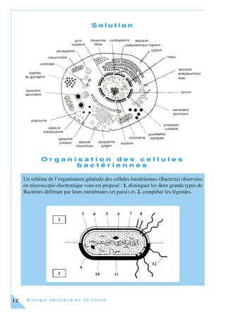 B i o l o g i e c e l l u l a i r e e n 3 0 f i c h e s12
S o l u t i o n
O r g a n i s a t i o n d e s c e l l u l e s
b a c t é r i e n n e s
Un schéma de l’organisation générale des cellules bactériennes (Bacteria) observées
en microscopie électronique vous est proposé : 1. distinguer les deux grands types de
Bactéries différant par leurs membranes (et paroi) et, 2. compléter les légendes.
 