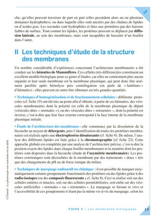 ©Dunod–Laphotocopienonautoriséeestundélit.
F I C H E 3 – L e s m e m b r a n e s b i o l o g i q u e s
3
15
che, qu’elles peuvent traverser de part en part (elles possèdent alors un ou plusieurs
domaines hydrophobes), ou dans laquelle elles sont ancrées par des chaînes de lipides
ou d’acides gras. Les secondes sont hydrophiles et liées aux premières par des liaisons
faibles de surface. Tout comme les lipides, les protéines peuvent se déplacer par diffu-
sion latérale, au sein des membranes, mais sont incapables de basculer d’un feuillet
dans l’autre.
II Les techniques d’étude de la structure
des membranes
Un nombre considérable d’expériences concernant l’architecture membranaire a été
conduit sur les hématies de Mammifères. Ces cellules très différenciées constituent un
excellent modèle biologique pour ce genre d’études, car elles ne contiennent plus aucun
organite et leur seule membrane est la membrane plasmique, qui peut donc être aisé-
ment purifiée après hémolyse puis centrifugation (on parle de « fantômes »
d’hématies) ; elles peuvent en outre être obtenues en très grandes quantités.
• Techniques d’homogénéisation et de fractionnement cellulaire : différents proto-
coles (cf. fiche 15) ont été mis au point afin d’obtenir, à partir de ces hématies, des vési-
cules membranaires dont la polarité est celle de la membrane plasmique de départ
(vésicules dites « normales »), ou des vésicules dites « retournées », dont la polarité est
inverse, c’est-à-dire que leur face externe correspond à la face interne de la membrane
plasmique initiale.
• Étude de l’architecture des membranes : elle commence par la dissolution de la
bicouche au moyen de détergents, puis l’identification de toutes les protéines membra-
naires est réalisée après une électrophorèse dénaturante (cf. fiche 9). De même, l’ana-
lyse des différents lipides est faite grâce à la chromatographie (cf. fiche 22). Cette
approche globale est complétée par une analyse de l’architecture précise, c’est-à-dire la
position exacte des lipides dans chaque feuillet membranaire et la manière dont les pro-
téines sont disposées dans la bicouche (étude de l’asymétrie membranaire). Les pro-
téines extrinsèques sont décrochées de la membrane par des traitements « doux » tels
que des changements de pH ou de force ionique du milieu.
• Techniques de marquage radioactif ou chimique : il est possible de marquer enzy-
matiquement certains groupements fonctionnels des protéines ou des lipides grâce à des
radio-isotopes (ou des composés fluorescents ; cf. fiche 8). Ceci se réalise soit sur des
cellules entières et intactes, soit sur des cellules perméabilisées, soit enfin sur des vési-
cules artificielles « normales » ou « retournées ». Le marquage se faisant in vitro et
l’accessibilité de ces groupements n’étant pas la même vis-à-vis du marquage, selon les
 