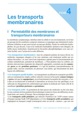 ©Dunod–Laphotocopienonautoriséeestundélit.
19F I C H E 4 – L e s t r a n s p o r t s m e m b r a n a i r e s
FICHE4
Les transports
membranaires
I Perméabilité des membranes et
transporteurs membranaires
La membrane cytoplasmique, interface entre la cellule et son environnement, est le lieu
de passage de très nombreux composés minéraux et organiques qui alimentent le méta-
bolisme cellulaire ou qui sont évacués en tant que déchets. Seules les molécules hydro-
phobes, les gaz dissous, l’eau et les molécules hydrophiles (polaires) non chargées, de
faible masse moléculaire, franchissent les bicouches phospholipidiques avec une cer-
taine facilité, sous l’action de la seule diffusion.
• Les transporteurs membranaires : tous les composés polaires de masse élevée, les
molécules organiques chargées et les ions minéraux sont totalement arrêtés par ces
mêmes bicouches ; or, tous sont d’une importance capitale pour le fonctionnement des
cellules (métabolisme, potentiel de membrane…). Pour pénétrer dans les cellules, ces
derniers doivent donc emprunter des dispositifs appropriés, constitués par des canaux,
des pores ou des protéines porteuses : il s’agit de protéines transmembranaires de
grande taille, souvent constituées de plusieurs sous-unités, qui fonctionnent de deux
façons très différentes.
• Les transports passifs facilités : ces transporteurs accélèrent les transports par diffu-
sion en constituant de simples orifices sélectifs à travers la bicouche (canaux ioniques
et pores, tels que les aquaporines), ou en fonctionnant à la manière des enzymes, c’est-
à-dire en reconnaissant la molécule à internaliser au niveau d’un site spécifique, et en
subissant un changement de conformation qui amène la molécule de l’autre côté de la
membrane (protéines porteuses ou perméases).
• Les transports actifs : ils permettent de faire passer des molécules ou des ions dans
le sens contraire de leur gradient électrochimique (contre les forces de diffusion), en uti-
lisant donc une source d’énergie. On en distingue deux types :
1) les transports actifs primaires, qui utilisent l’hydrolyse de l’ATP comme source
d’énergie (pompe Na/K ATP dépendante), et 2) les transports actifs secondaires, qui
impliquent un transport couplé (cotransport) entre un ion dit « moteur », qui suit son
 