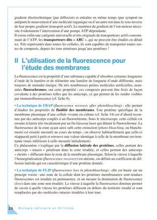 B i o l o g i e c e l l u l a i r e e n 3 0 f i c h e s20
gradient électrochimique (par diffusion) et entraîne en même temps (par symport ou
antiport) le mouvement d’une molécule organique ou d’un autre ion dans le sens inverse
de leur propre gradient (transport actif). Le maintien du gradient de l’ion moteur néces-
site évidemment l’intervention d’une pompe ATP dépendante.
Il existe enfin une catégorie universelle et très originale de transporteurs actifs consom-
mant de l’ATP, les transporteurs dits « ABC », qui ne peuvent être étudiés en détail
ici. Très représentés dans toutes les cellules, ils sont capables de transporter toutes sor-
tes de composés, depuis les ions minéraux jusqu’aux protéines !
II L’utilisation de la fluorescence pour
l’étude des membranes
La fluorescence est la propriété d’une substance capable d’absorber certaines longueurs
d’onde de la lumière et de réémettre une lumière de longueur d’onde différente, mais
toujours de moindre énergie. De très nombreuses petites molécules artificielles, nom-
mées fluorochromes, ont cette propriété ; ces composés peuvent être fixés de façon
covalente à des protéines telles que les anticorps, ce qui permet de les rendre visibles
par immunofluorescence (cf. fiche 8).
• La technique de FRAP (fluorescence recovery after photobleaching) : elle permet
d’étudier les propriétés de fluidité des membranes. Une protéine spécifique de la
membrane plasmique d’une cellule vivante en culture (cf. fiche 14) est d’abord recon-
nue par des anticorps couplés à un fluorochrome. Sous le microscope, cette cellule est
ensuite éclairée très localement par un fin faisceau laser qui détruit le fluorochrome. La
fluorescence de la zone ayant ainsi subi cette extinction (photo-bleaching, ou blanchi-
ment) est ensuite mesurée au cours du temps ; on observe habituellement que celle-ci
réapparaît petit à petit et retrouve une valeur identique à celle de la membrane environ-
nante (mais inférieure à celle mesurée initialement).
Ce phénomène s’explique par la diffusion latérale des protéines, celles portant des
anticorps « intacts » pénétrant dans la zone irradiée, et celles portant des anticorps
« éteints » diffusant dans le reste de la membrane plasmique. Selon la vitesse à laquelle
l’homogénéisation (fluorescence recovery) est atteinte, on définit un coefficient de dif-
fusion latérale qui est caractéristique d’une protéine donnée.
• La technique de FLIP (fluorescence loss in photobleaching) : elle est basée sur un
principe voisin : une zone de la cellule dont les protéines membranaires sont rendues
fluorescentes est irradiée en permanence, et on mesure la diminution de fluorescence
(loss) dans une zone non irradiée. La vitesse à laquelle la fluorescence diminue permet
de savoir à quelle vitesse les protéines diffusent en dehors du territoire irradié et sont
remplacées par des molécules intactes irradiées à leur tour.
 