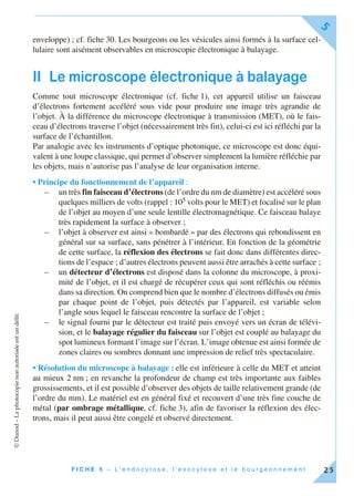 ©Dunod–Laphotocopienonautoriséeestundélit.
F I C H E 5 – L ’ e n d o c y t o s e , l ’ e x o c y t o s e e t l e b o u r g e o n n e m e n t
5
25
enveloppe) ; cf. fiche 30. Les bourgeons ou les vésicules ainsi formés à la surface cel-
lulaire sont aisément observables en microscopie électronique à balayage.
II Le microscope électronique à balayage
Comme tout microscope électronique (cf. fiche 1), cet appareil utilise un faisceau
d’électrons fortement accéléré sous vide pour produire une image très agrandie de
l’objet. À la différence du microscope électronique à transmission (MET), où le fais-
ceau d’électrons traverse l’objet (nécessairement très fin), celui-ci est ici réfléchi par la
surface de l’échantillon.
Par analogie avec les instruments d’optique photonique, ce microscope est donc équi-
valent à une loupe classique, qui permet d’observer simplement la lumière réfléchie par
les objets, mais n’autorise pas l’analyse de leur organisation interne.
• Principe du fonctionnement de l’appareil :
– un très fin faisceau d’électrons (de l’ordre du nm de diamètre) est accéléré sous
quelques milliers de volts (rappel : 105 volts pour le MET) et focalisé sur le plan
de l’objet au moyen d’une seule lentille électromagnétique. Ce faisceau balaye
très rapidement la surface à observer ;
– l’objet à observer est ainsi « bombardé » par des électrons qui rebondissent en
général sur sa surface, sans pénétrer à l’intérieur. En fonction de la géométrie
de cette surface, la réflexion des électrons se fait donc dans différentes direc-
tions de l’espace ; d’autres électrons peuvent aussi être arrachés à cette surface ;
– un détecteur d’électrons est disposé dans la colonne du microscope, à proxi-
mité de l’objet, et il est chargé de récupérer ceux qui sont réfléchis ou réémis
dans sa direction. On comprend bien que le nombre d’électrons diffusés ou émis
par chaque point de l’objet, puis détectés par l’appareil, est variable selon
l’angle sous lequel le faisceau rencontre la surface de l’objet ;
– le signal fourni par le détecteur est traité puis envoyé vers un écran de télévi-
sion, et le balayage régulier du faisceau sur l’objet est couplé au balayage du
spot lumineux formant l’image sur l’écran. L’image obtenue est ainsi formée de
zones claires ou sombres donnant une impression de relief très spectaculaire.
• Résolution du microscope à balayage : elle est inférieure à celle du MET et atteint
au mieux 2 nm ; en revanche la profondeur de champ est très importante aux faibles
grossissements, et il est possible d’observer des objets de taille relativement grande (de
l’ordre du mm). Le matériel est en général fixé et recouvert d’une très fine couche de
métal (par ombrage métallique, cf. fiche 3), afin de favoriser la réflexion des élec-
trons, mais il peut aussi être congelé et observé directement.
 