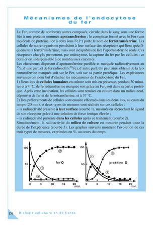 B i o l o g i e c e l l u l a i r e e n 3 0 f i c h e s26
M é c a n i s m e s d e l ’ e n d o c y t o s e
d u f e r
Le Fer, comme de nombreux autres composés, circule dans le sang sous une forme
liée à une protéine nommée apotransferrine ; le complexe formé avec le Fer (une
molécule de protéine liée à deux ions Fe3+) porte le nom de ferrotransferrine. Les
cellules de notre organisme possèdent à leur surface des récepteurs qui lient spécifi-
quement la ferrotransferrine, mais sont incapables de lier l’apotransferrine seule. Ces
récepteurs chargés permettent, par endocytose, la capture du fer par les cellules ; ce
dernier est indispensable à de nombreuses enzymes.
Les chercheurs disposent d’apotransferrine purifiée et marquée radioactivement au
35S, d’une part, et de fer radioactif (59Fe), d’autre part. On peut ainsi obtenir de la fer-
rotransferrine marquée soit sur le Fer, soit sur sa partie protéique. Les expériences
suivantes ont pour but d’étudier les mécanismes de l’endocytose du Fer.
1) Deux lots de cellules humaines en culture sont mis en présence, pendant 30 minu-
tes et à 4 ˚C, de ferrotransferrine marquée soit grâce au Fer, soit dans sa partie protéi-
que. Après cette incubation, les cellules sont remises en culture dans un milieu neuf,
dépourvu de fer et de ferrotransferrine, et à 37 ˚C.
2) Des prélèvements de cellules sont ensuite effectués dans les deux lots, au cours du
temps (20 min), et deux types de mesures sont réalisés sur ces cellules :
– la radioactivité présente à leur surface (courbe 1), mesurée en décrochant le ligand
de son récepteur grâce à une solution de force ionique élevée ;
– la radioactivité présente dans les cellules après ce traitement (courbe 2).
Simultanément, la radioactivité du milieu de culture est mesurée pendant toute la
durée de l’expérience (courbe 3). Les graphes suivants montrent l’évolution de ces
trois types de mesures, exprimées en %, au cours du temps.
 