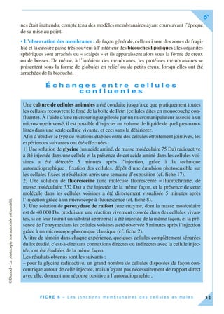 ©Dunod–Laphotocopienonautoriséeestundélit.
F I C H E 6 – L e s j o n c t i o n s m e m b r a n a i r e s d e s c e l l u l e s a n i m a l e s
6
31
nes était inattendu, compte tenu des modèles membranaires ayant cours avant l’époque
de sa mise au point.
• L’observation des membranes : de façon générale, celles-ci sont des zones de fragi-
lité et la cassure passe très souvent à l’intérieur des bicouches lipidiques ; les organites
sphériques sont arrachés ou « scalpés » et ils apparaissent alors sous la forme de creux
ou de bosses. De même, à l’intérieur des membranes, les protéines membranaires se
présentent sous la forme de globules en relief ou de petits creux, lorsqu’elles ont été
arrachées de la bicouche.
É c h a n g e s e n t r e c e l l u l e s
c o n f l u e n t e s
Une culture de cellules animales a été conduite jusqu’à ce que pratiquement toutes
les cellules recouvrent le fond de la boîte de Petri (cellules dites en monocouche con-
fluente). À l’aide d’une microseringue pilotée par un micromanipulateur associé à un
microscope inversé, il est possible d’injecter un volume de liquide de quelques nano-
litres dans une seule cellule vivante, et ceci sans la détériorer.
Afin d’étudier le type de relations établies entre des cellules étroitement jointives, les
expériences suivantes ont été effectuées :
1) Une solution de glycine (un acide aminé, de masse moléculaire 75 Da) radioactive
a été injectée dans une cellule et la présence de cet acide aminé dans les cellules voi-
sines a été détectée 5 minutes après l’injection, grâce à la technique
autoradiographique : fixation des cellules, dépôt d’une émulsion photosensible sur
les cellules fixées et révélation après une semaine d’exposition (cf. fiche 17).
2) Une solution de fluorescéine (une molécule fluorescente = fluorochrome, de
masse moléculaire 332 Da) a été injectée de la même façon, et la présence de cette
molécule dans les cellules voisines a été directement visualisée 5 minutes après
l’injection grâce à un microscope à fluorescence (cf. fiche 8).
3) Une solution de peroxydase de raifort (une enzyme, dont la masse moléculaire
est de 40 000 Da, produisant une réaction vivement colorée dans des cellules vivan-
tes, si on leur fournit un substrat approprié) a été injectée de la même façon, et la pré-
sence de l’enzyme dans les cellules voisines a été observée 5 minutes après l’injection
grâce à un microscope photonique classique (cf. fiche 2).
À titre de témoin dans chaque expérience, quelques cellules complètement séparées
du lot étudié, c’est-à-dire sans connexions directes ou indirectes avec la cellule injec-
tée, ont été étudiées de la même façon.
Les résultats obtenus sont les suivants :
– pour la glycine radioactive, un grand nombre de cellules disposées de façon con-
centrique autour de celle injectée, mais n’ayant pas nécessairement de rapport direct
avec elle, donnent une réponse positive à l’autoradiographie ;
 