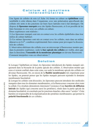 ©Dunod–Laphotocopienonautoriséeestundélit.
F I C H E 6 – L e s j o n c t i o n s m e m b r a n a i r e s d e s c e l l u l e s a n i m a l e s
6
33
C a l c i u m e t j o n c t i o n s
i n t e r c e l l u l a i r e s
S o l u t i o n
1. Lorsque l’épithélium est intact, les liposomes introduisent des lipides marqués uni-
quement dans la bicouche de la partie apicale des cellules. L’observation montre que
ceux-ci restent confinés dans cette zone, car seule la membrane apicale des cellules est
devenue fluorescente. Or, en raison de la fluidité membranaire très importante pour
les lipides, on pourrait penser que les lipides marqués puissent rejoindre le domaine
membranaire basolatéral.
2. Lorsque les cellules sont dissociées, les liposomes peuvent introduire des molécules
marquées dans tous les domaines membranaires, et la fluorescence concerne alors toute
la cellule. Ces résultats démontrent clairement l’existence d’une barrière de diffusion
latérale des lipides (qui concerne aussi les protéines), située dans la partie apicale du
domaine basolatéral, et constituée par les jonctions étanches, dites aussi "serrées". Cette
barrière est responsable de la régionalisation des protéines membranaires, qui permet la
polarité fonctionnelle de ces cellules.
Une lignée de cellules de rein (cf. fiche 14) forme en culture un épithélium serré
semblable à celui obtenu dans l’organisme, avec une polarisation apico/basale des
cellules très nette et des jonctions sur leurs faces latérales tout à fait identiques. On
dispose de liposomes marqués avec des lipides fluorescents, et il est possible de les
faire fusionner in vitro avec ces cellules en culture.
Deux expériences sont réalisées :
1) Les liposomes marqués sont mis en contact avec les cellules épithéliales dans leur
milieu de culture habituel.
2) Ces mêmes liposomes sont mis en contact avec les cellules, mais dans un milieu
dépourvu en Ca2+, condition expérimentale bien connue pour provoquer la dissocia-
tion des cellules.
L’observation ultérieure des cellules avec un microscope à fluorescence montre que,
dans la première expérience, seule la face apicale des cellules est visible, alors que
dans la deuxième, l’ensemble de la membrane plasmique est devenu fluorescent.
Comment interprétez-vous ces observations ?
 