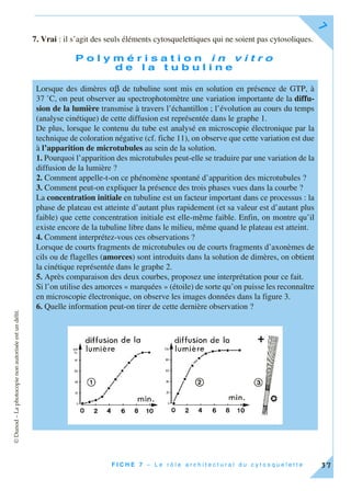 ©Dunod–Laphotocopienonautoriséeestundélit.
F I C H E 7 – L e r ô l e a r c h i t e c t u r a l d u c y t o s q u e l e t t e
7
37
7. Vrai : il s’agit des seuls éléments cytosquelettiques qui ne soient pas cytosoliques.
P o l y m é r i s a t i o n i n v i t r o
d e l a t u b u l i n e
Lorsque des dimères αβ de tubuline sont mis en solution en présence de GTP, à
37 ˚C, on peut observer au spectrophotomètre une variation importante de la diffu-
sion de la lumière transmise à travers l’échantillon ; l’évolution au cours du temps
(analyse cinétique) de cette diffusion est représentée dans le graphe 1.
De plus, lorsque le contenu du tube est analysé en microscopie électronique par la
technique de coloration négative (cf. fiche 11), on observe que cette variation est due
à l’apparition de microtubules au sein de la solution.
1. Pourquoi l’apparition des microtubules peut-elle se traduire par une variation de la
diffusion de la lumière ?
2. Comment appelle-t-on ce phénomène spontané d’apparition des microtubules ?
3. Comment peut-on expliquer la présence des trois phases vues dans la courbe ?
La concentration initiale en tubuline est un facteur important dans ce processus : la
phase de plateau est atteinte d’autant plus rapidement (et sa valeur est d’autant plus
faible) que cette concentration initiale est elle-même faible. Enfin, on montre qu’il
existe encore de la tubuline libre dans le milieu, même quand le plateau est atteint.
4. Comment interprétez-vous ces observations ?
Lorsque de courts fragments de microtubules ou de courts fragments d’axonèmes de
cils ou de flagelles (amorces) sont introduits dans la solution de dimères, on obtient
la cinétique représentée dans le graphe 2.
5. Après comparaison des deux courbes, proposez une interprétation pour ce fait.
Si l’on utilise des amorces « marquées » (étoile) de sorte qu’on puisse les reconnaître
en microscopie électronique, on observe les images données dans la figure 3.
6. Quelle information peut-on tirer de cette dernière observation ?
 