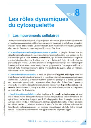 ©Dunod–Laphotocopienonautoriséeestundélit.
39F I C H E 8 – L e s r ô l e s d y n a m i q u e s d u c y t o s q u e l e t t e
FICHE8
Les rôles dynamiques
du cytosquelette
I Les mouvements cellulaires
À côté de son rôle architectural, le cytosquelette possède un grand nombre de fonctions
dynamiques concernant aussi bien les mouvements internes à la cellule que ses défor-
mations ou son déplacement. Les microtubules et les microfilaments d’actine, présents
chez tous les Eucaryotes, sont responsables de ces fonctions.
• Le positionnement et les déplacements des organites : la plupart d’entre eux (le
réticulum endoplasmique, les saccules golgiens, les mitochondries) sont arrimés sur des
microtubules grâce à des moteurs moléculaires, qui assurent en outre leurs déplace-
ments contrôlés en fonction des étapes du cycle cellulaire (cf. fiche 14) ou des besoins
physiologiques locaux. Les mouvements des multiples vésicules qui font communiquer
les compartiments membranaires entre eux, ou qui permettent l’endocytose et l’exocy-
tose (cf. fiche 5) sont aussi assurés par le cytosquelette. La cyclose chez les végétaux
relève aussi de ces mécanismes.
• Lors de la division cellulaire, la mise en place de l’appareil mitotique mobilise
toute la tubuline interphasique jusque-là organisée en microtubules rayonnant autour du
centrosome (cf. fiche 7). Cette structure très complexe participe à la bonne séparation
des chromatides sœurs (ou des chromosomes homologues lors de la méiose I) lors de la
mitose. La cytodiérèse des cellules animales met en œuvre un dispositif annulaire con-
tractile, formé d’actine et de myosine, dont le rôle est de séparer en deux le cytoplasme
de la cellule en fin de division.
• Les déformations cellulaires : elles impliquent le couple actine/myosine et sont
mises en œuvre lors de la contraction des cellules musculaires ou lors du repliement des
épithéliums, phénomène fréquent lors de l’embryogenèse. Lors des déplacements des
cellules isolées (cellules embryonnaires mobiles, cellules tumorales, cellules animales
en culture, amibes…), diverses structures à base d’actine sont utilisées, telles que les
lamellipodes ou les pseudopodes ; les points de contact focaux (cf. fiche 6) leur permet-
tent de s’accrocher transitoirement au support et servent de point d’appui.
 
