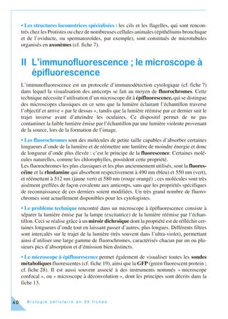 B i o l o g i e c e l l u l a i r e e n 3 0 f i c h e s40
• Les structures locomotrices spécialisées : les cils et les flagelles, qui sont rencon-
trés chez les Protistes ou chez de nombreuses cellules animales (épithéliums bronchique
et de l’oviducte, ou spermatozoïdes, par exemple), sont constitués de microtubules
organisés en axonèmes (cf. fiche 7).
II L’immunofluorescence ; le microscope à
épifluorescence
L’immunofluorescence est un protocole d’immunodétection cytologique (cf. fiche 7)
dans lequel la visualisation des anticorps se fait au moyen de fluorochromes. Cette
technique nécessite l’utilisation d’un microscope dit à épifluorescence, qui se distingue
des microscopes classiques en ce sens que la lumière éclairant l’échantillon traverse
l’objectif et arrive « par le dessus », tandis que la lumière réémise par ce dernier suit le
trajet inverse avant d’atteindre les oculaires. Ce dispositif permet de ne pas
contaminer la faible lumière émise par l’échantillon par une lumière violente provenant
de la source, lors de la formation de l’image.
• Les fluorochromes sont des molécules de petite taille capables d’absorber certaines
longueurs d’onde de la lumière et de réémettre une lumière de moindre énergie et donc
de longueur d’onde plus élevée : c’est le principe de la fluorescence. Certaines molé-
cules naturelles, comme les chlorophylles, possèdent cette propriété.
Les fluorochromes les plus classiques et les plus anciennement utilisés, sont la fluores-
céine et la rhodamine qui absorbent respectivement à 490 nm (bleu) et 550 nm (vert),
et réémettent à 512 nm (jaune vert) et 580 nm (rouge orangé) ; ces molécules sont très
aisément greffées de façon covalente aux anticorps, sans que les propriétés spécifiques
de reconnaissance de ces derniers soient modifiées. Un très grand nombre de fluoro-
chromes sont actuellement disponibles pour les cytologistes.
• Le problème technique rencontré dans un microscope à épifluorescence consiste à
séparer la lumière émise par la lampe (excitatrice) de la lumière réémise par l’échan-
tillon. Ceci se réalise grâce à un miroir dichroïque dont la propriété est de réfléchir cer-
taines longueurs d’onde tout en laissant passer d’autres, plus longues. Différents filtres
sont intercalés sur le trajet de la lumière (très souvent dans l’ultra-violet), permettant
ainsi d’utiliser une large gamme de fluorochromes, caractérisés chacun par un ou plu-
sieurs pics d’absorption et d’émission bien distincts.
• Le microscope à épifluorescence permet également de visualiser toutes les sondes
métaboliques fluorescentes (cf. fiche 19), ainsi que la GFP (green fluorescent protein ;
cf. fiche 28). Il est aussi souvent associé à des instruments nommés « microscope
confocal », ou « microscope à déconvolution », dont les principes sont décrits dans la
fiche 13.
 