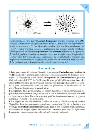 ©Dunod–Laphotocopienonautoriséeestundélit.
F I C H E 8 – L e s r ô l e s d y n a m i q u e s d u c y t o s q u e l e t t e
8
43
S o l u t i o n
1. Tout mouvement nécessite de l’énergie, or on sait que l’hydrolyse enzymatique de
l’ATP (réaction très exergonique ; cf. fiche 21) est aussi associée à des fonctions méca-
niques. Le couplage est assuré par des changements de conformation des protéines
liés à la fixation de l’ATP, de l’ADP et du Pi, ainsi qu’à l’établissement de liens phy-
siques entre protéines qui se déplacent alors les unes par rapport aux autres. L’exem-
ple le plus anciennement connu est celui du glissement de la myosine sur les
microfilaments d’actine dans le muscle strié.
2. Compte tenu de ce qu’on sait chez les cellules flagellées, et puisque le vanadate blo-
que le déplacement normal des granules vers le centre de la cellule, en absence d’AMP
cyclique, on peut faire l’hypothèse qu’une protéine fonctionnant comme la dynéine
axonémale (cf. fiche 7) est mise en jeu.
3. La disposition des microtubules (stables en absence d’AMP cyclique) renforce
l’hypothèse d’une interaction entre granules et cytosquelette. En fait, la dynéine est le
prototype des moteurs microtubulaires : elle permet non seulement le glissement des
microtubules les uns par rapport aux autres dans l’axonème, mais aussi le déplacement
des organites cytoplasmiques (vers l’extrémité – des microtubules).
Il a été montré, in vitro, que l’étalement des granules peut être provoqué par l’AMP
cyclique (une molécule de signalisation ; cf. fiche 28), tandis que leur regroupement
se fait en son absence. Si l’on ajoute du vanadate dans le milieu, on observe que
l’AMP cyclique provoque toujours le déplacement des granules vers la périphérie,
tandis qu’en son absence leur déplacement vers le centre de la cellule n’a plus lieu.
2. Quelle hypothèse pouvez-vous formuler concernant le déplacement des granules ?
L’observation de l’organisation des microtubules de ces cellules (fig. 1) montre une
disposition rayonnante dans le cytoplasme, insensible à l’action de l’AMP cyclique.
3. En quoi cette nouvelle donnée renforce-t-elle votre hypothèse ?
 