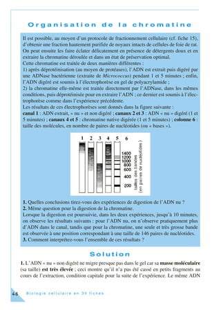 B i o l o g i e c e l l u l a i r e e n 3 0 f i c h e s46
O r g a n i s a t i o n d e l a c h r o m a t i n e
S o l u t i o n
1. L’ADN « nu » non digéré ne migre presque pas dans le gel car sa masse moléculaire
(sa taille) est très élevée ; ceci montre qu’il n’a pas été cassé en petits fragments au
cours de l’extraction, condition capitale pour la suite de l’expérience. Le même ADN
Il est possible, au moyen d’un protocole de fractionnement cellulaire (cf. fiche 15),
d’obtenir une fraction hautement purifiée de noyaux intacts de cellules de foie de rat.
On peut ensuite les faire éclater délicatement en présence de détergents doux et en
extraire la chromatine déroulée et dans un état de préservation optimal.
Cette chromatine est traitée de deux manières différentes :
1) après déprotéinisation (au moyen de protéases), l’ADN est extrait puis digéré par
une ADNase bactérienne (extraite de Micrococcus) pendant 1 et 5 minutes ; enfin,
l’ADN digéré est soumis à l’électrophorèse en gel de polyacrylamide ;
2) la chromatine elle-même est traitée directement par l’ADNase, dans les mêmes
conditions, puis déprotéinisée pour en extraire l’ADN ; ce dernier est soumis à l’élec-
trophorèse comme dans l’expérience précédente.
Les résultats de ces électrophorèses sont donnés dans la figure suivante :
canal 1 : ADN extrait, « nu » et non digéré ; canaux 2 et 3 : ADN « nu » digéré (1 et
5 minutes) ; canaux 4 et 5 : chromatine native digérée (1 et 5 minutes) ; colonne 6 :
taille des molécules, en nombre de paires de nucléotides (ou « bases »).
1. Quelles conclusions tirez-vous des expériences de digestion de l’ADN nu ?
2. Même question pour la digestion de la chromatine.
Lorsque la digestion est poursuivie, dans les deux expériences, jusqu’à 10 minutes,
on observe les résultats suivants : pour l’ADN nu, on n’observe pratiquement plus
d’ADN dans le canal, tandis que pour la chromatine, une seule et très grosse bande
est observée à une position correspondant à une taille de 146 paires de nucléotides.
3. Comment interprétez-vous l’ensemble de ces résultats ?
 